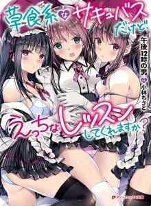 Kami adalah Succubus Pasif, Jadi Bisakah Anda Memberi Kami Pelajaran Ecchi?