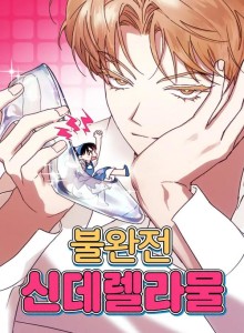 Cinderella Tidak Sempurna