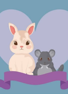 Hamster Dan Kelinci