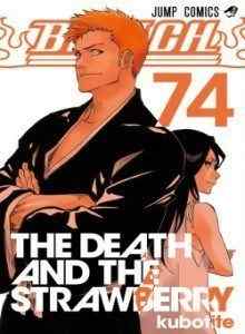 Bleach Xv1